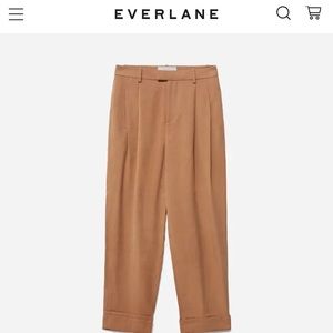 Everlane Pull-Together Pleat Pants